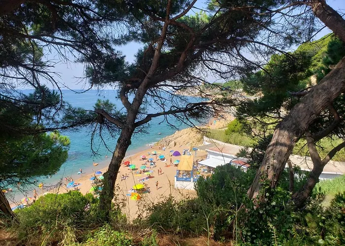 Apart.3 Habit.mar-mont. Ac-terraza-ascensor-parking Daire Calella
