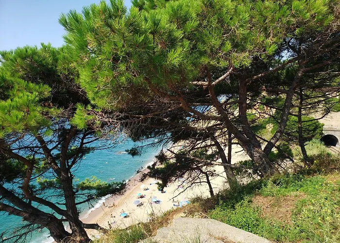Daire Apart.3 Habit.mar-mont. Ac-terraza-ascensor-parking *